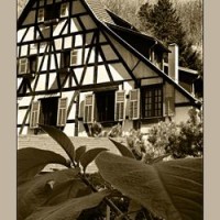 Andlau, le temps des choses- Chambres d’hotes