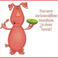 Hutsch a aussi choisi sa défense…