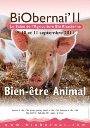 BiObernai’11, la sortie bio à Obernai