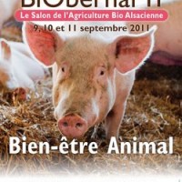 BiObernai’11, la sortie bio à Obernai