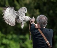 Les « Journées d’exception » à la Volerie des Aigles