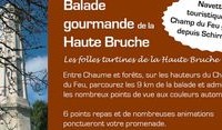 Balade Gourmande au Champ du Feu