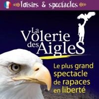 Volerie des Aigles 2012