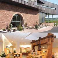 Cave du Roi Dagobert : Là où la vigne est reine