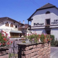 La Maison Wolfberger une étape incontournable de la « Route des Vins d’Alsace »
