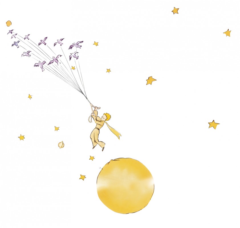 Lepetitprince Oiseaux Made In Alsace La Marque Dune