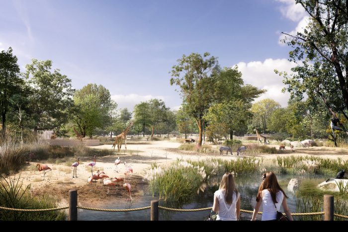 Ambiance de la brousse ? Dans les faits, le future espace Horizon Afrique sera bien plus que cela. Mais la bonne nouvelle est là, le Parc zoologique & botanique de Mulhouse, le troisième site touristique d’Alsace, investit, se transforme et n’a de cesse de se moderniser pour mieux sensibiliser ses visiteurs  Projet architectural étonnant, Horizon Afrique s’annonce comme une des transformations les plus réjouissantes.  Attractivité et nouvelles espèces « Situé dans le bas du Parc, avec comme emprise le pré central, l’allée des grues et une partie de l’étang existant, l’Horizon Afrique s’étend sur une surface de plus d’un hectare et demi. Il intègre trois nouveaux bâtiments pour des girafes, les gazelles et reptiles et des hippopotames nains qui rejoindront le Parc à l’ouverture de l’espace ».