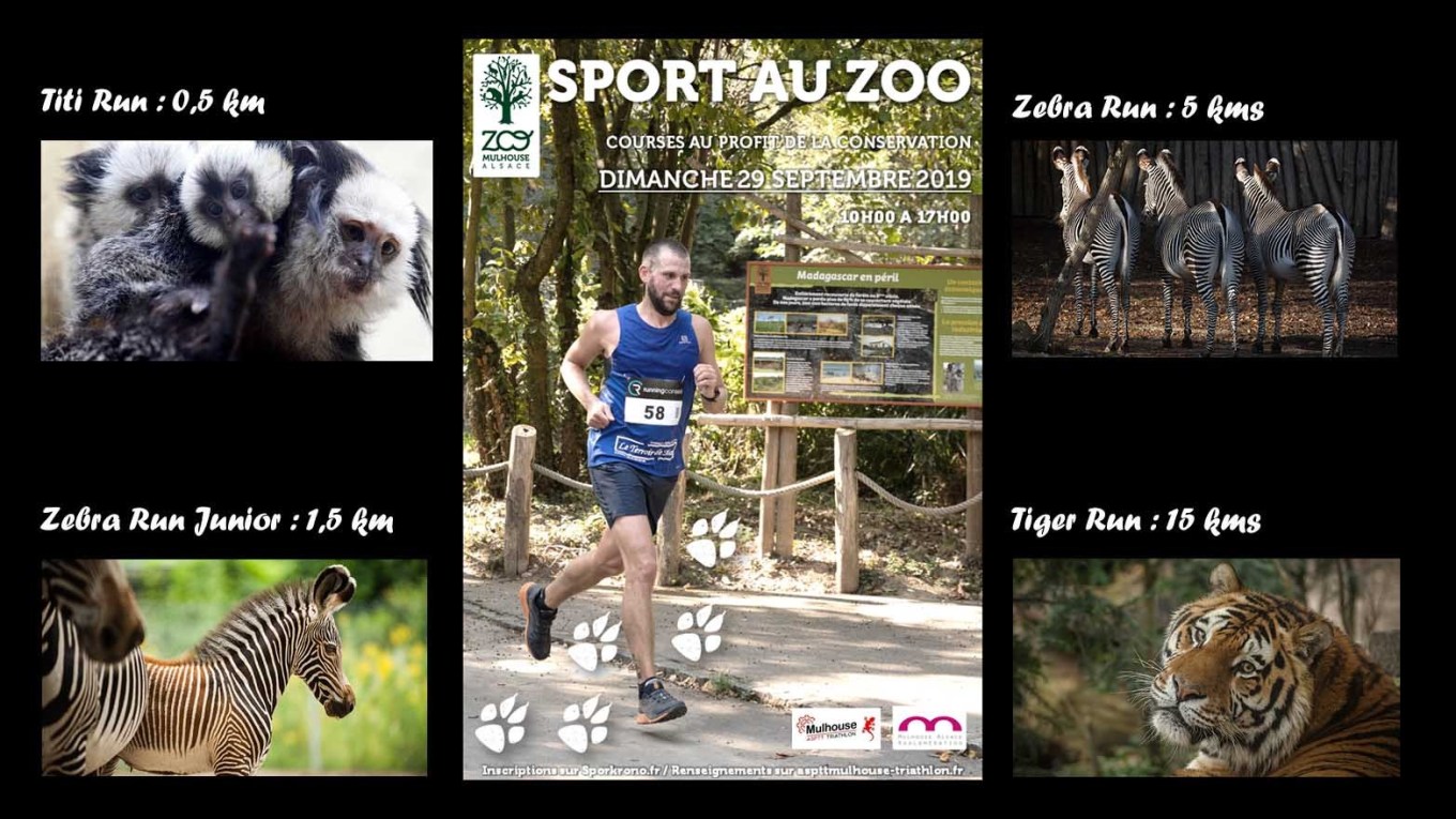 sportzoomulhouse Made in Alsace La marque d'une région Tourisme