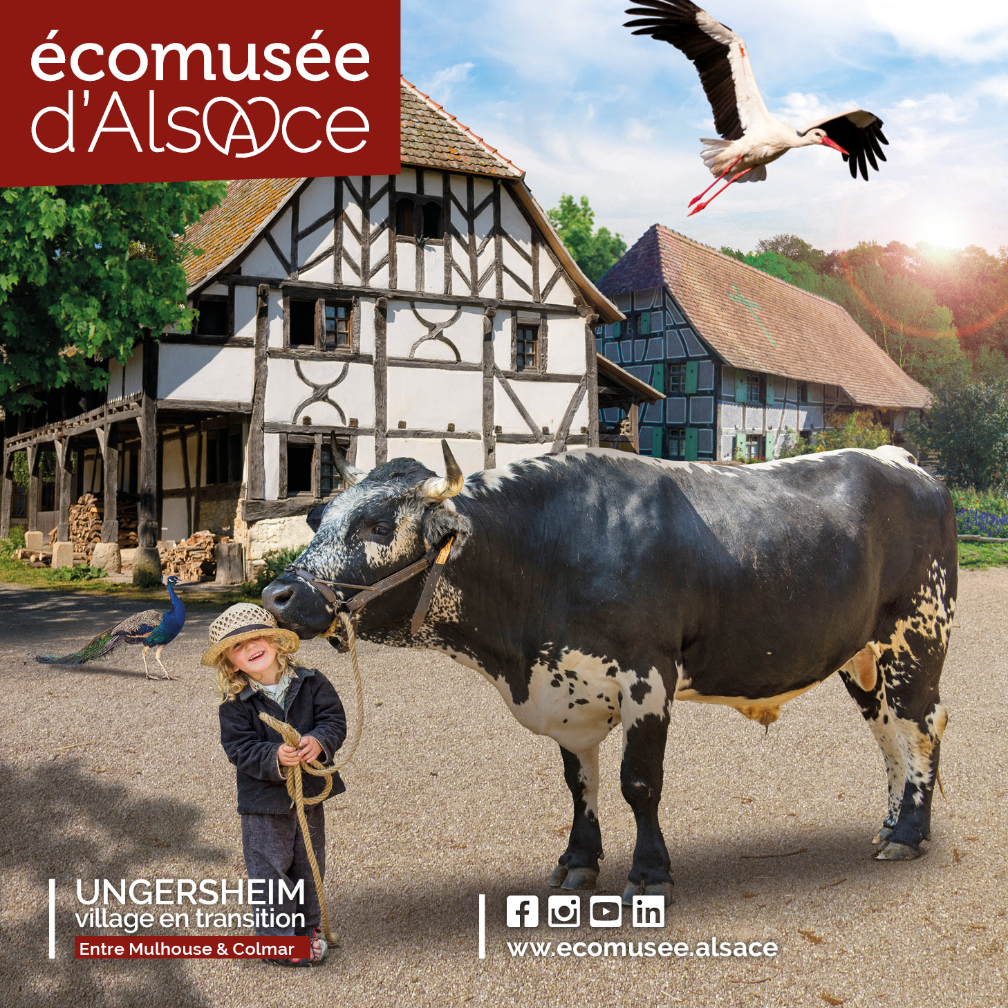 Ecomusée Alsace 2023