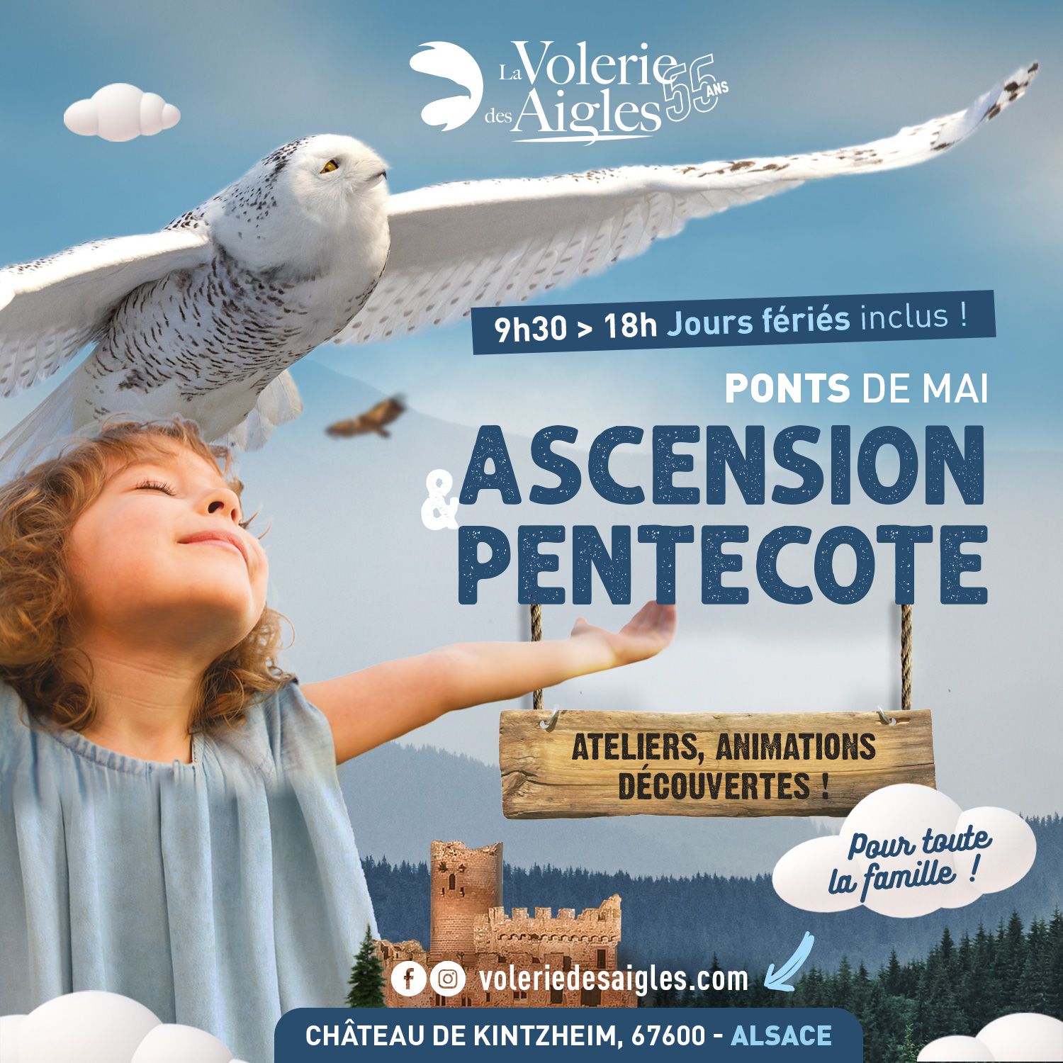 Volerie des aigles