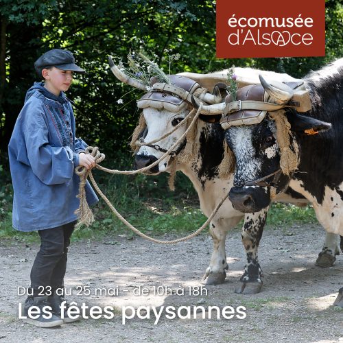 Ecomusée 2026 Alsace