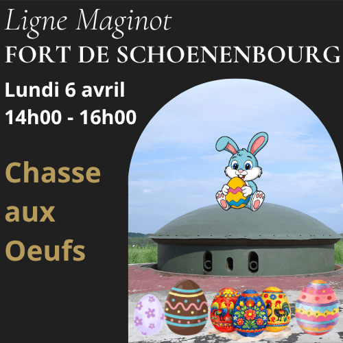 bannière Schoenenbourg Alsace